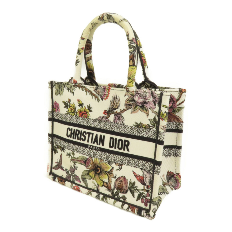 Dior 帆布Book Tote Small手挽袋-2
