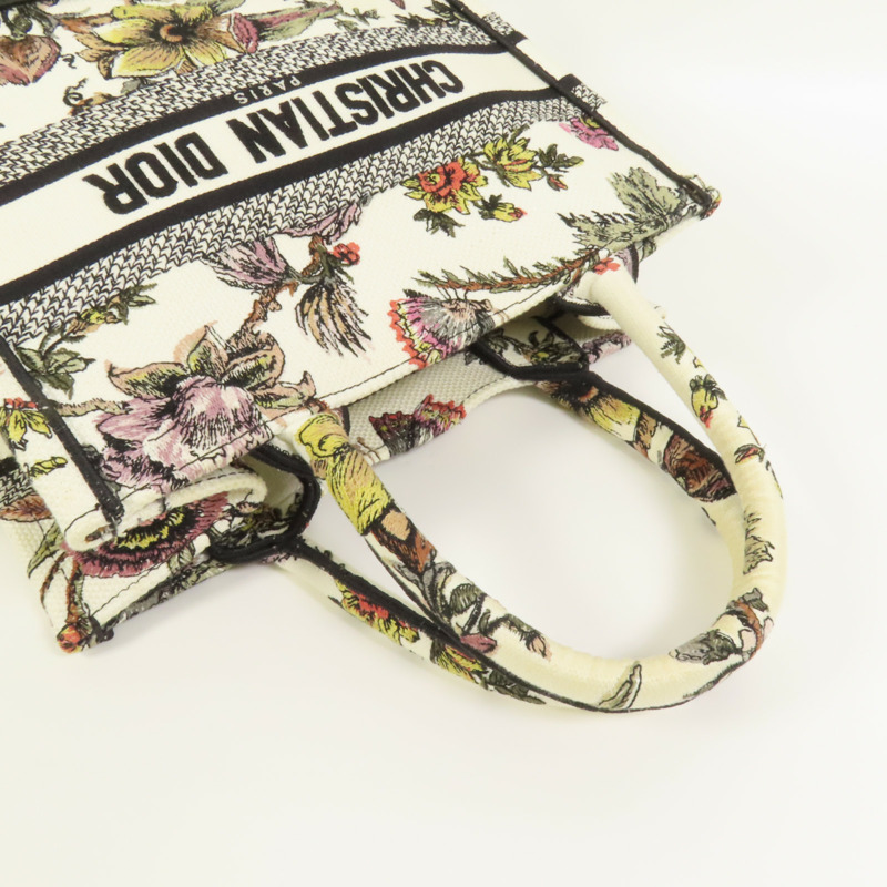 Dior 帆布Book Tote Small手挽袋-4