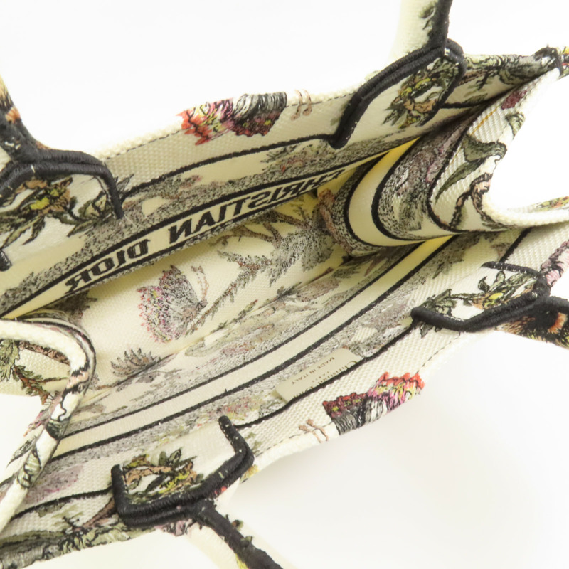 Dior 帆布Book Tote Small手挽袋-5