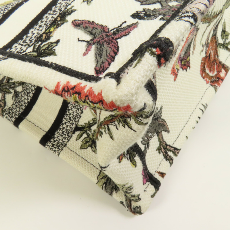 Dior 帆布Book Tote Small手挽袋-10