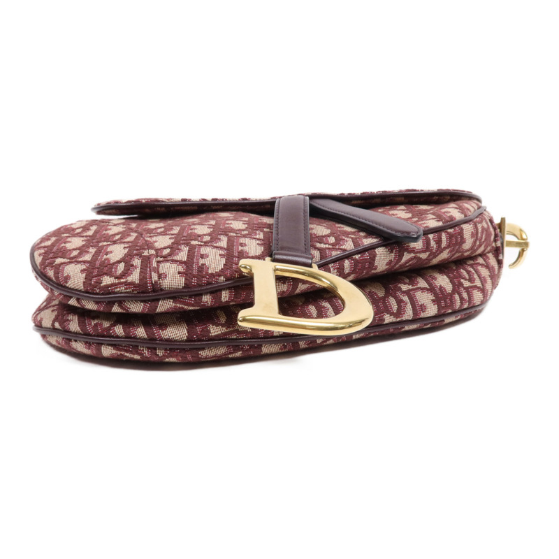 Dior 帆布Mini Saddle金扣手挽袋-3