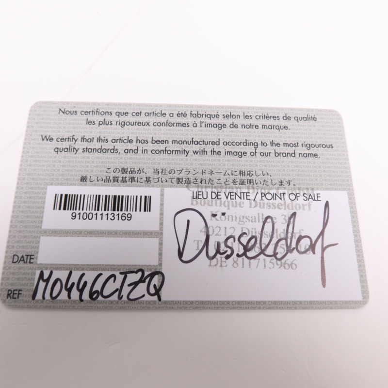 Dior 帆布Mini Saddle金扣手挽袋-9