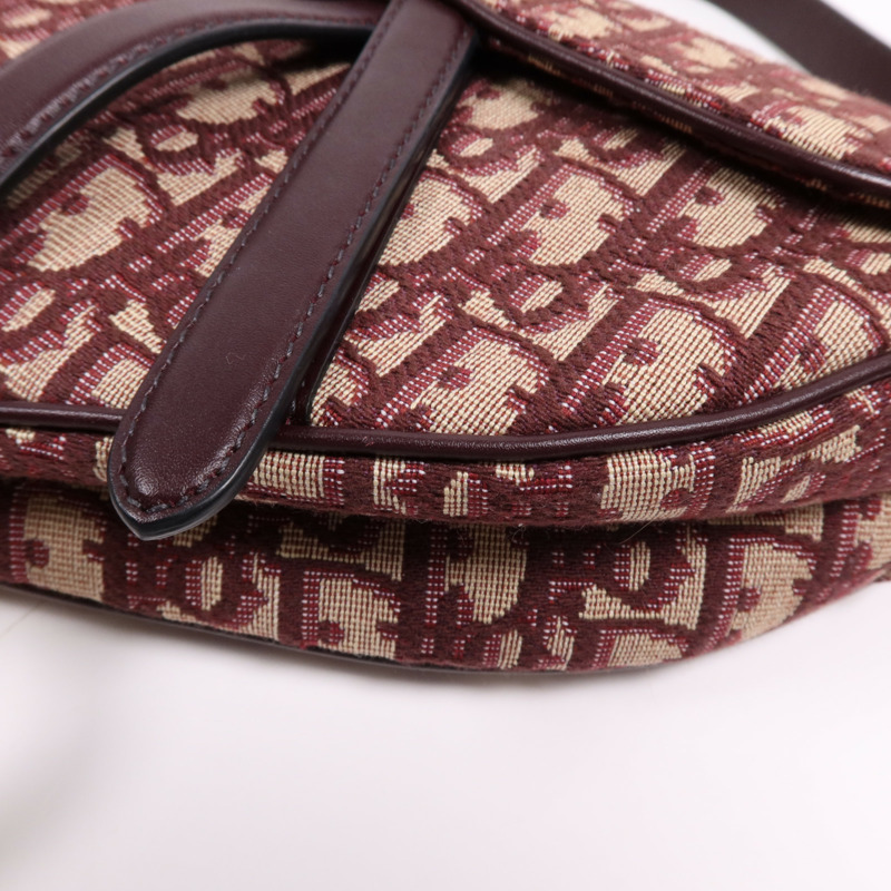 Dior 帆布Mini Saddle金扣手挽袋-10