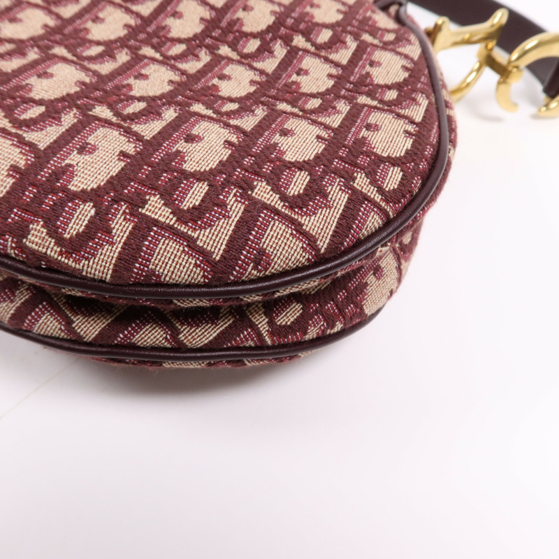 Dior 帆布Mini Saddle金扣手挽袋-12