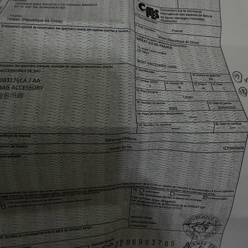 愛馬仕 Hermès 赫馬 小馬吊飾 Pégase PM｜黑色蜥蜴皮尾翼｜稀有特殊皮革款-4