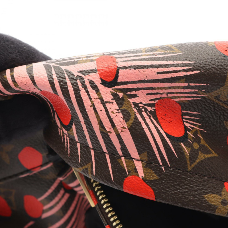 路易威登 Palm Springs PM 雙肩包 M41981 Monogram Jungle Dot 二手-5