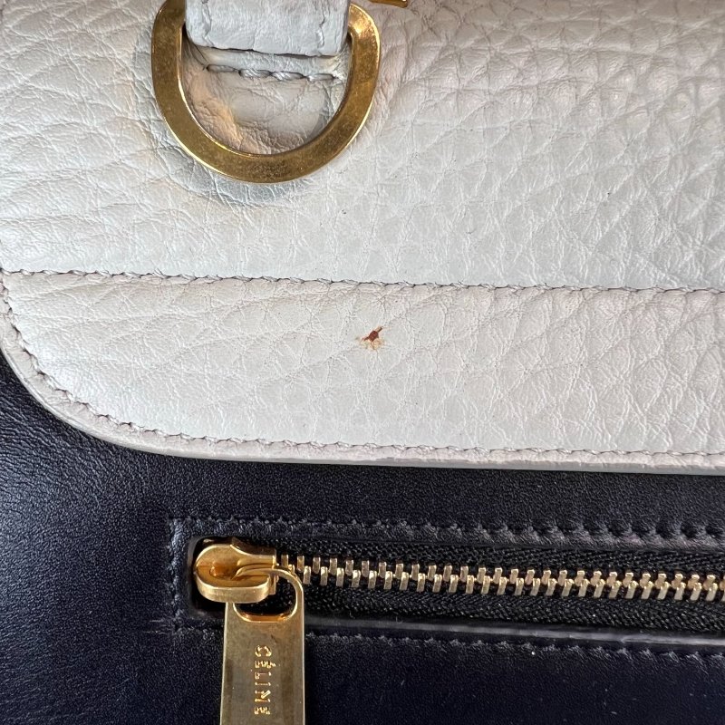 CELINE藍拼白 Trapaze Bag鞦韆包-13