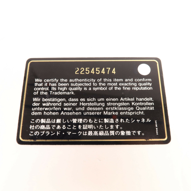 CHANEL 羊皮皮革Pouch銀扣手拿包-7