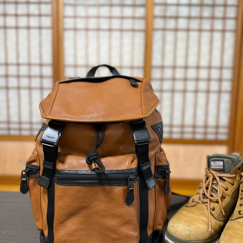 二手 COACH 牛皮後背包 公事包 辦公包 精品包 雙肩包 男用包