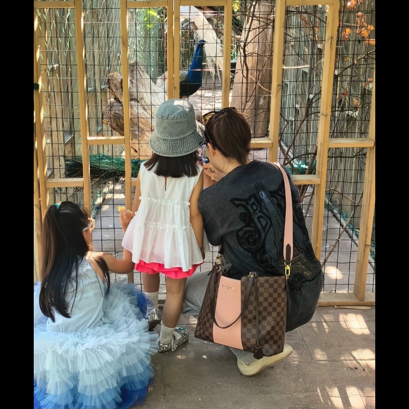 Louis Vuitton  LV Jersey 粉色拼棋盤格 肩背包 斜背包 手提包 托特包 媽媽包-3