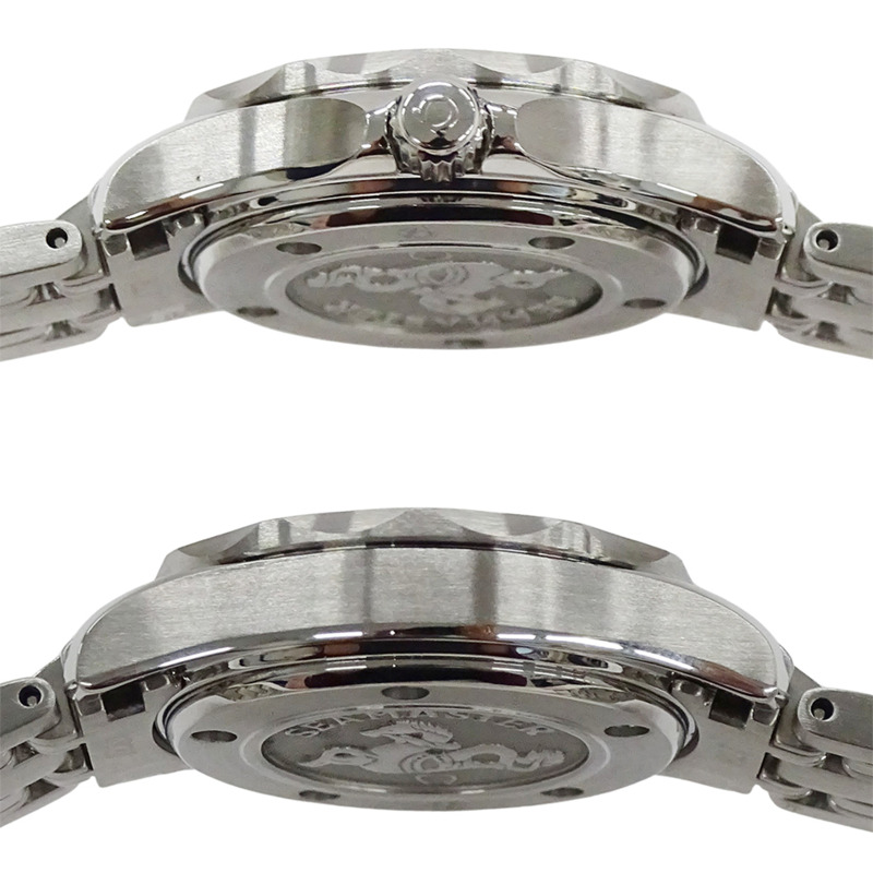 歐米茄海馬系列潛水錶 213.30.28.61.01.001 女士專業300公尺潛水錶，附日期顯示，石英機芯，不鏽鋼錶殼，銀/黑色，拋光處理-2