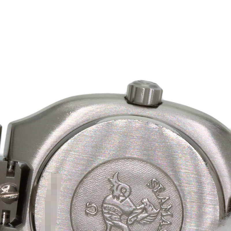 歐米茄海馬系列北極星不鏽鋼腕錶 SSxGP 女士款-8