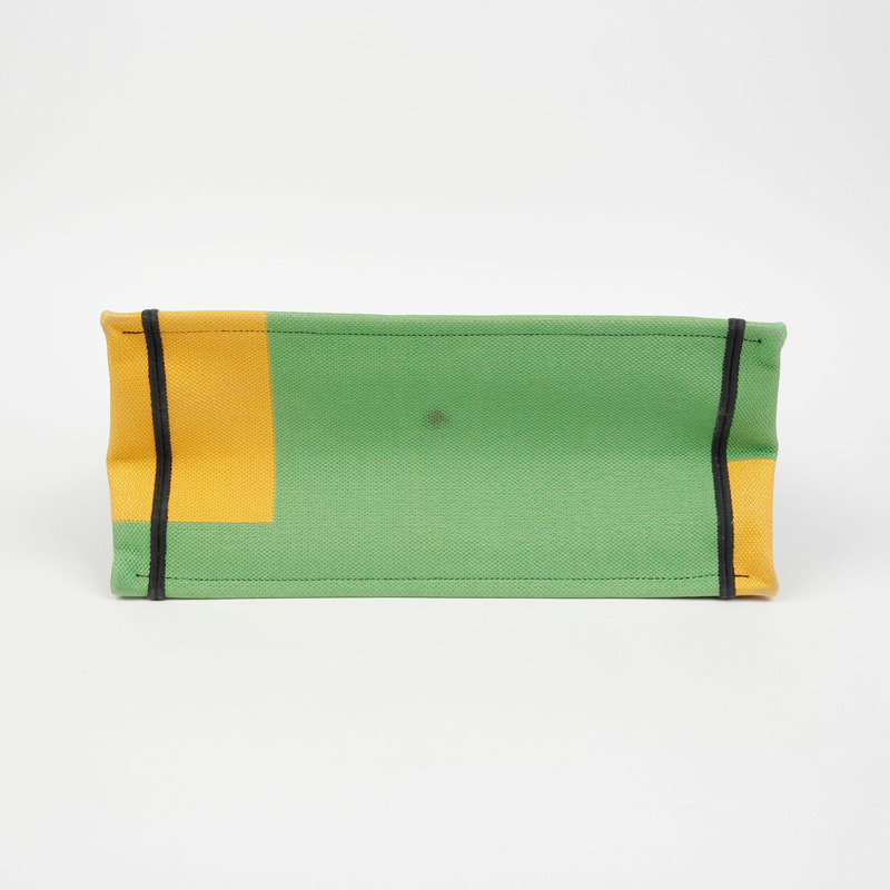 DIOR M1296ZRON 叢林流行中型書本手提包-3