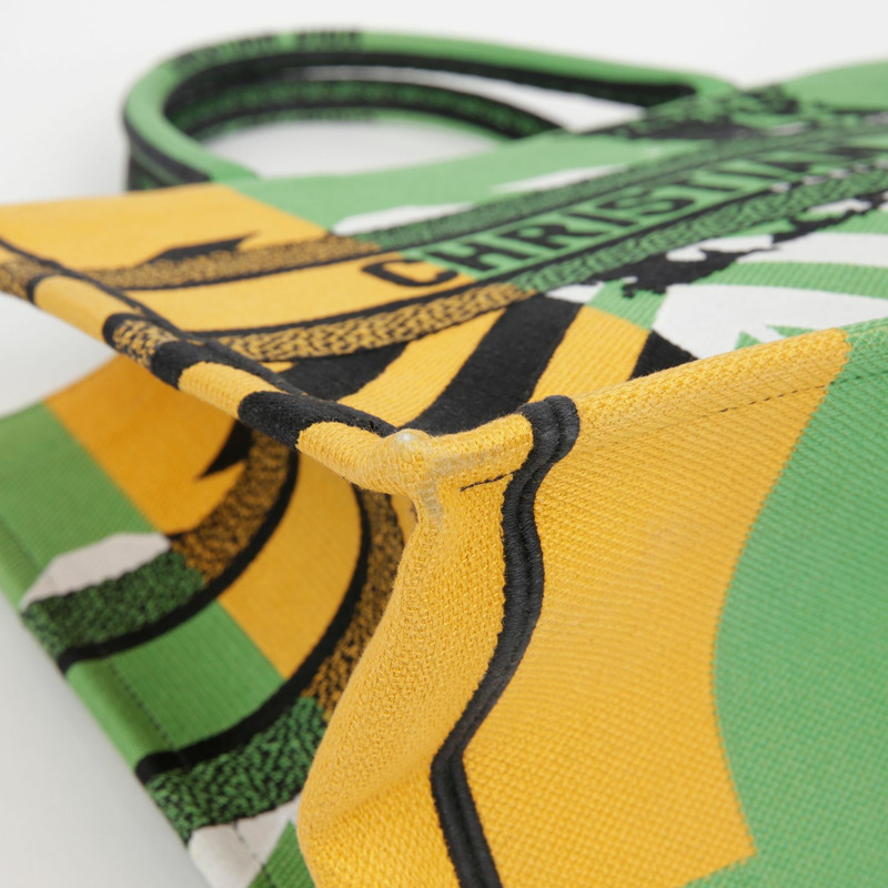 DIOR M1296ZRON 叢林流行中型書本手提包-5