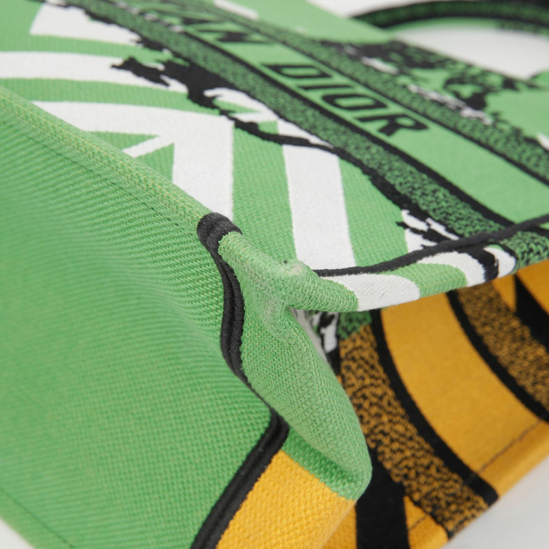 DIOR M1296ZRON 叢林流行中型書本手提包-6