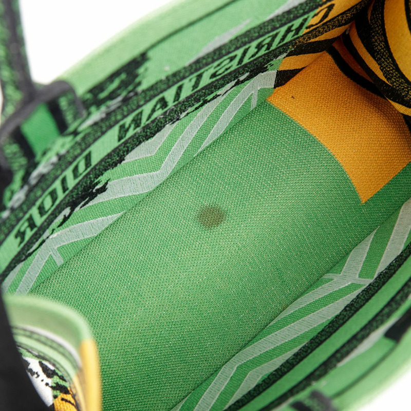 DIOR M1296ZRON 叢林流行中型書本手提包-11