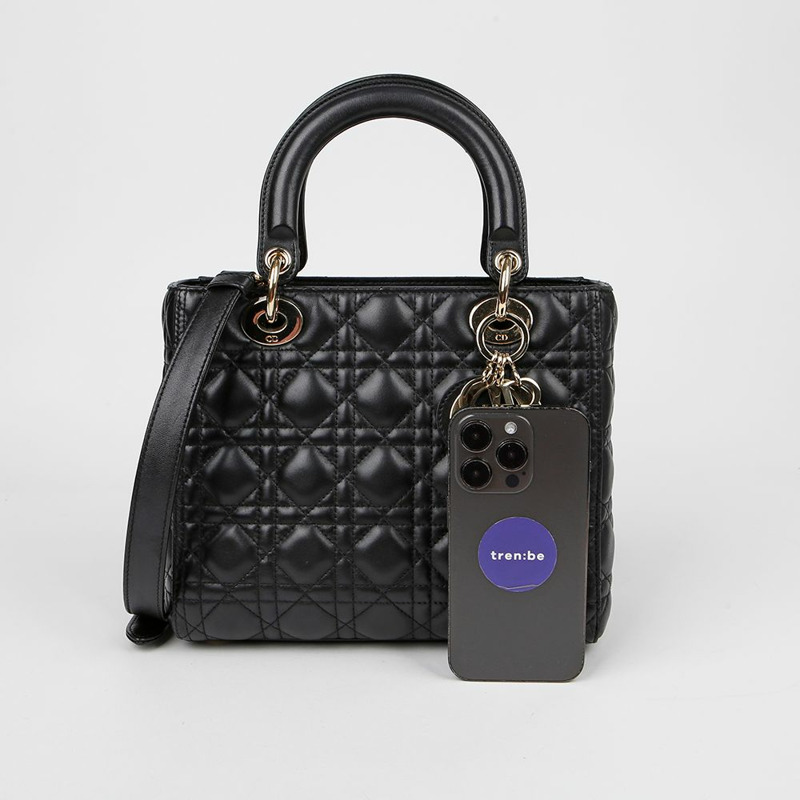 DIOR M0565ONGE 女士中型手提單肩包-11