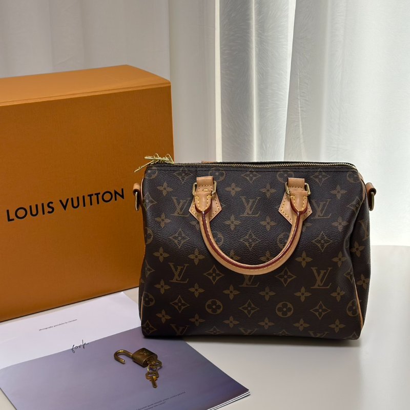 LOUIS VUITTON Speedy 25-2