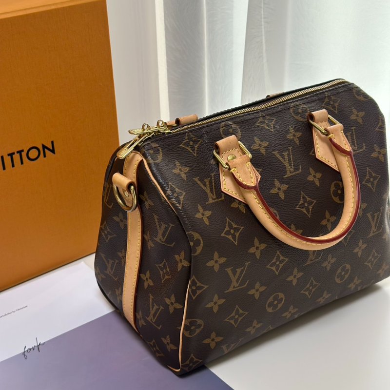 LOUIS VUITTON Speedy 25-3