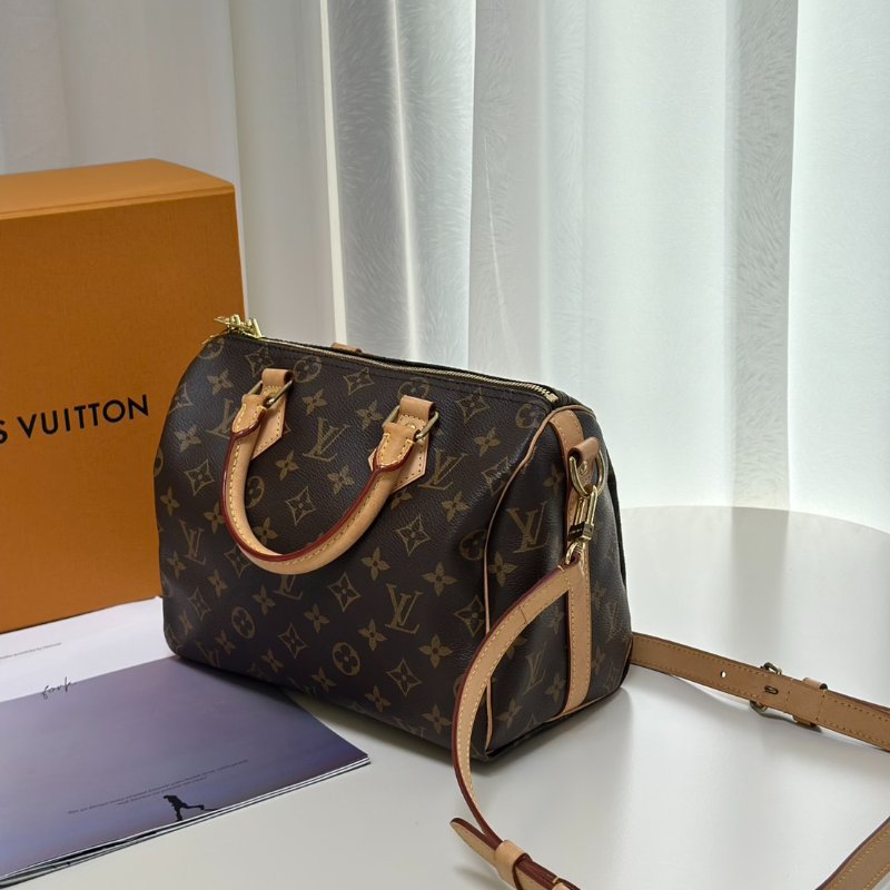 LOUIS VUITTON Speedy 25-4