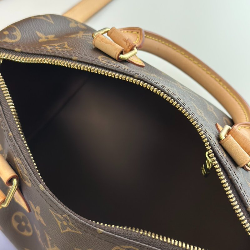 LOUIS VUITTON Speedy 25-6