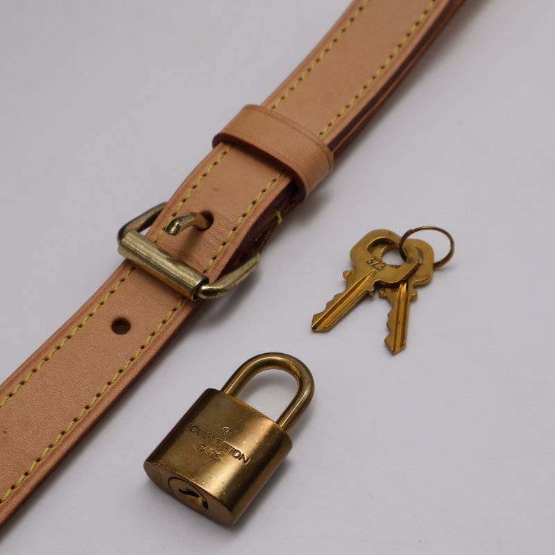 LOUIS VUITTON Speedy 25-4