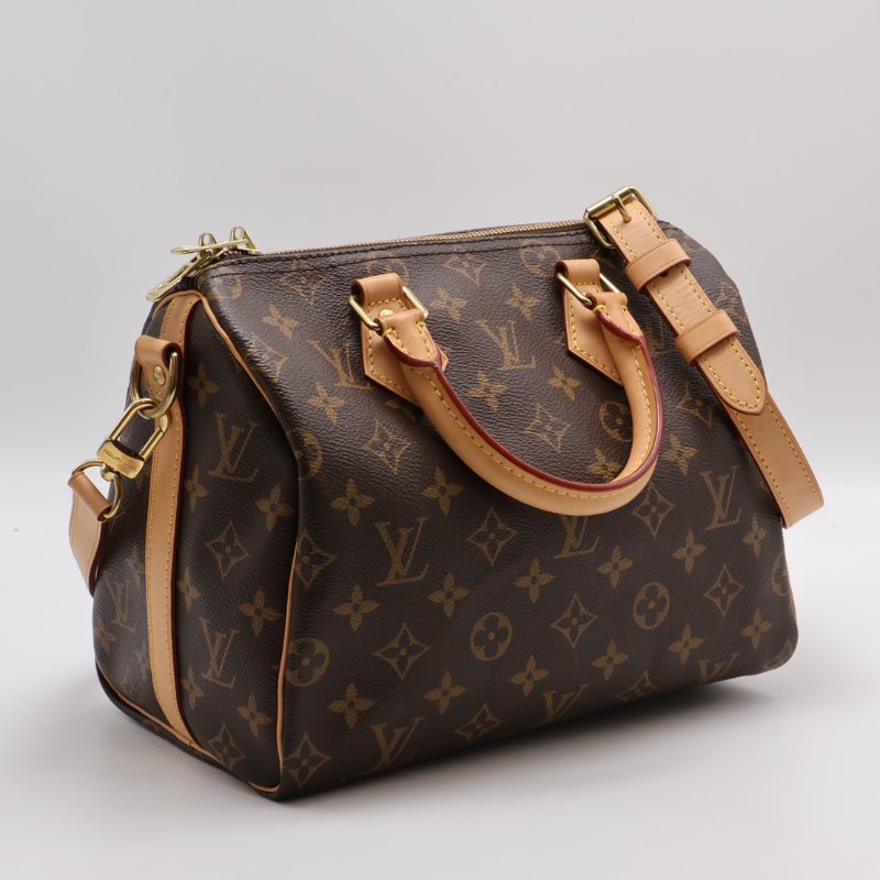 LOUIS VUITTON Speedy 25-12