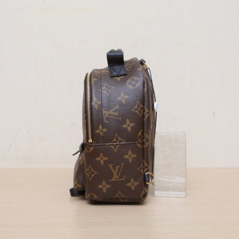 LOUIS VUITTON PalmSprings小書包Mini17新款拉鏈外露老花PVC晶片肩背包-4