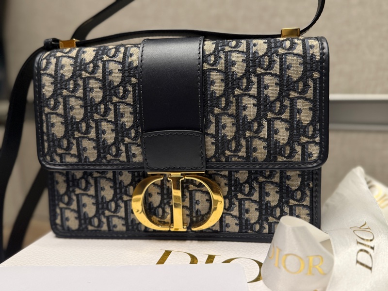 Dior Montaigne Oblique 蒙田-1