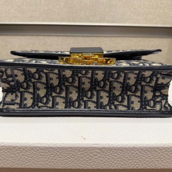 Dior Montaigne Oblique 蒙田-7