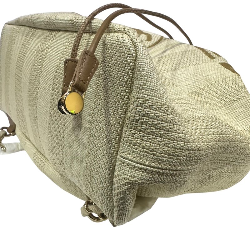 【美收精品】CHANEL茶白色帆布肩背包 4-494-6