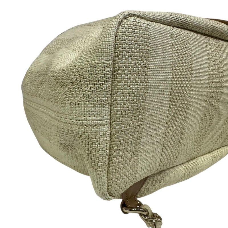 【美收精品】CHANEL茶白色帆布肩背包 4-494-8