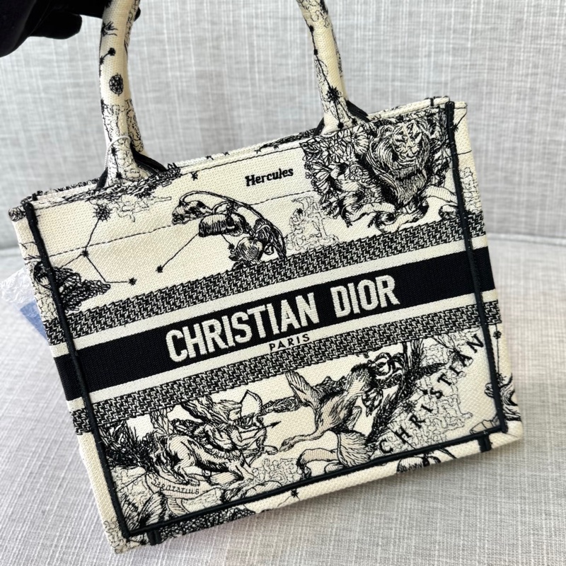 Dior tote-3