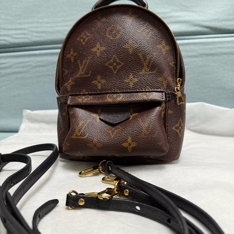 LV PLAM SPRING MINI