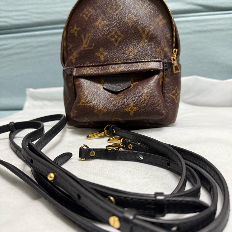 LV PLAM SPRING MINI-2
