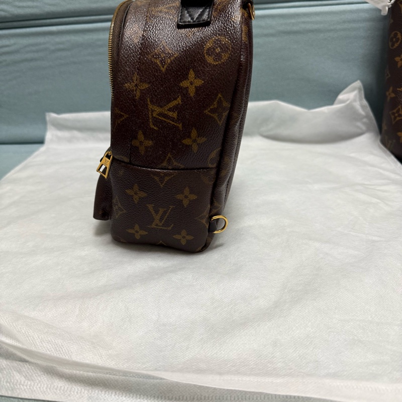 LV PLAM SPRING MINI-3