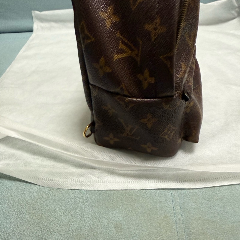 LV PLAM SPRING MINI-5