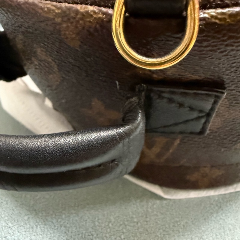 LV PLAM SPRING MINI-18