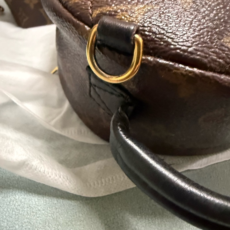 LV PLAM SPRING MINI-19