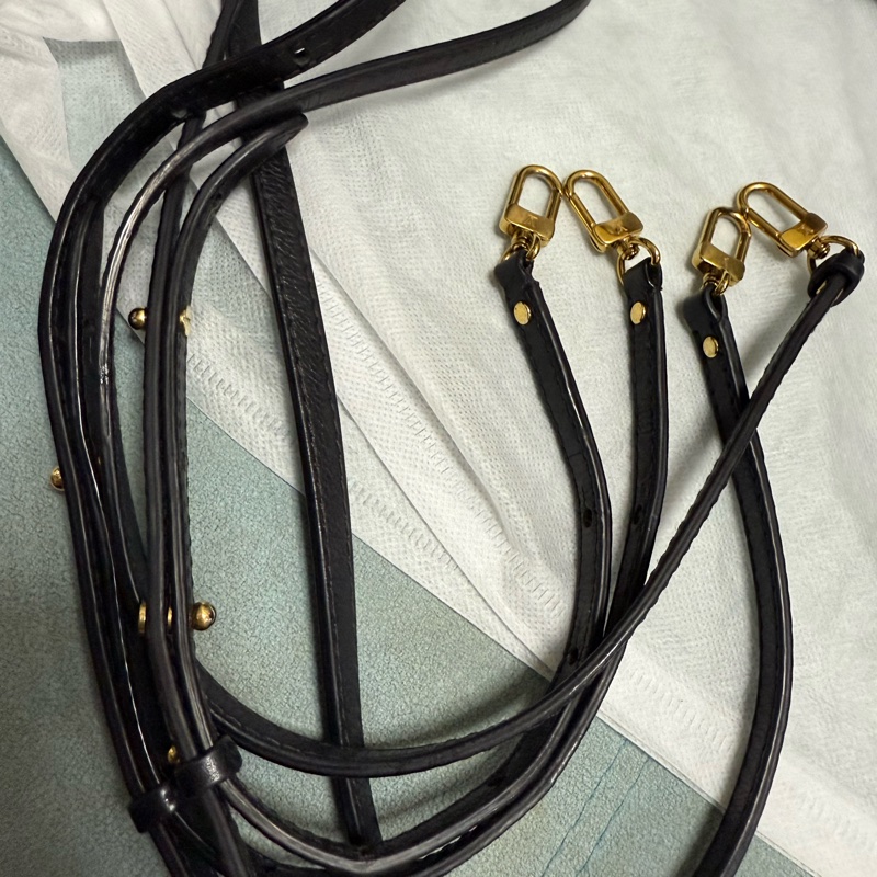 LV PLAM SPRING MINI-21