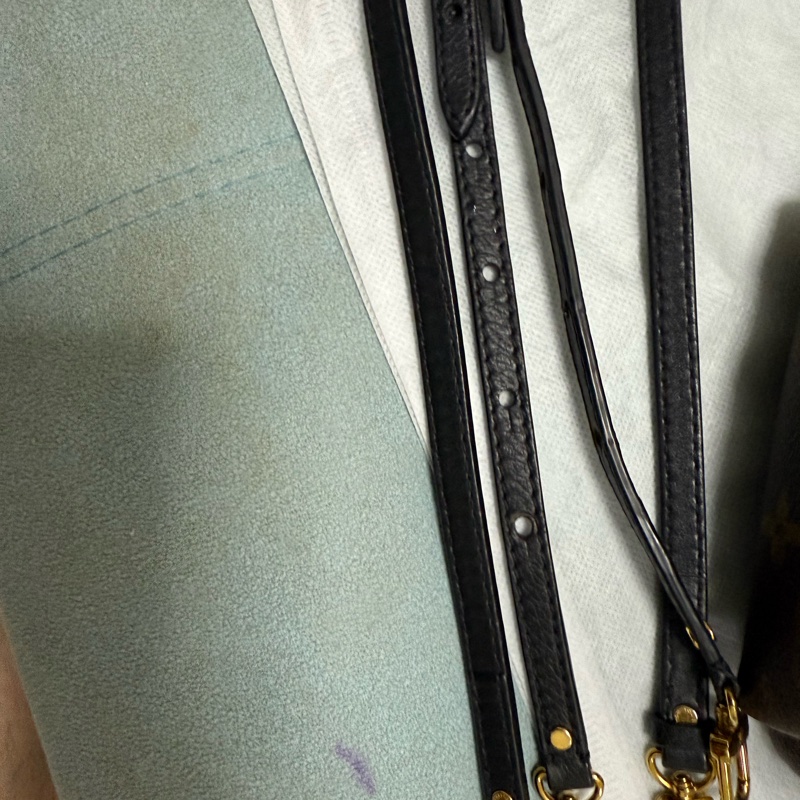 LV PLAM SPRING MINI-27