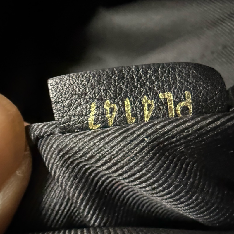 LV PLAM SPRING MINI-29