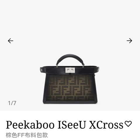 Fendi Peekaboo XCross
