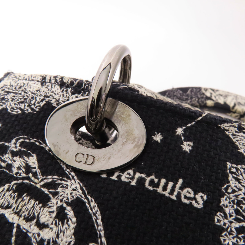 Dior 帆布Lady D-Lite Medium手挽肩背兩用袋-16