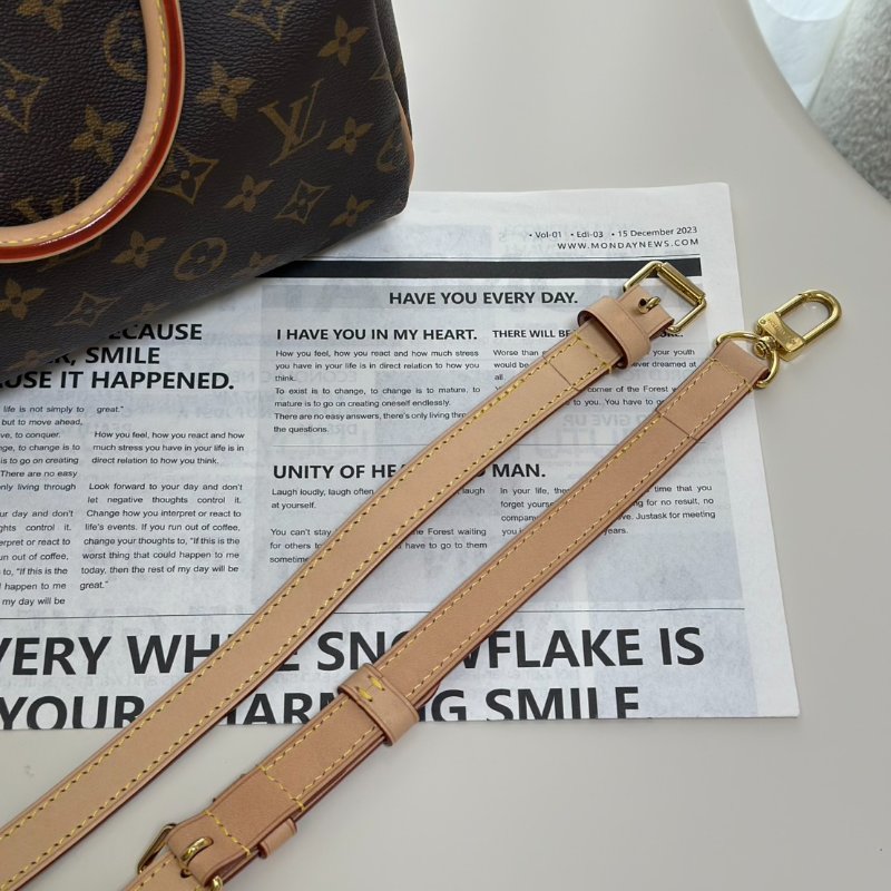 LOUIS VUITTON Speedy 25-9