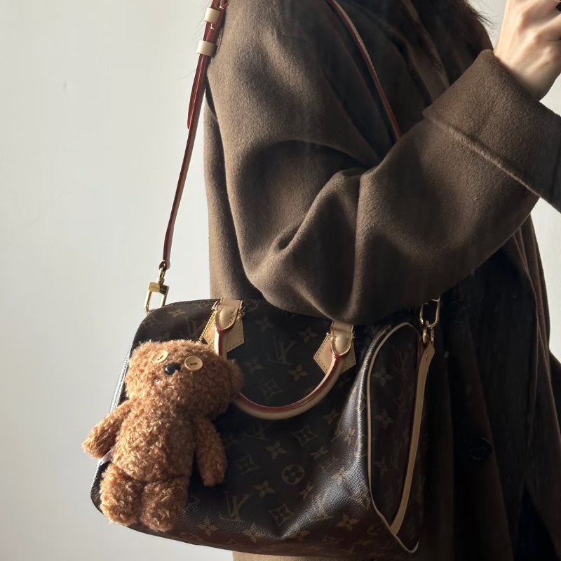 LOUIS VUITTON Speedy 25-11