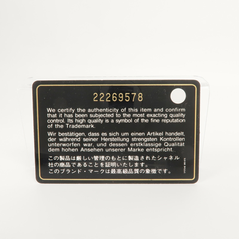 CHANEL 羊皮皮革Backpack銀扣背包-14