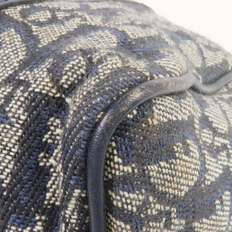 Dior 帆布Handbag金扣手挽袋-5