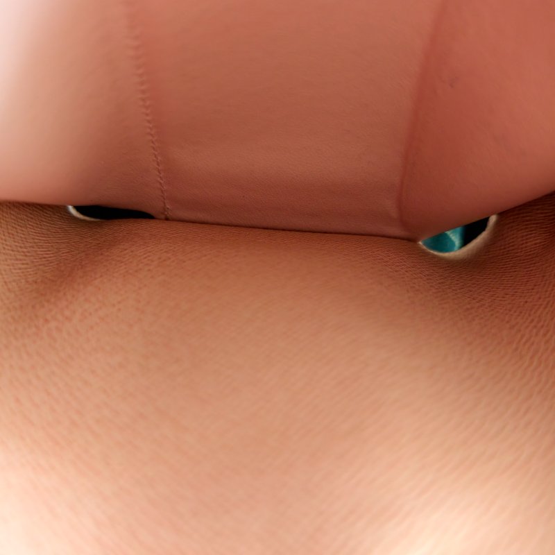 Louis Vuitton 路易威登 粉豆豆钱包 16年-7