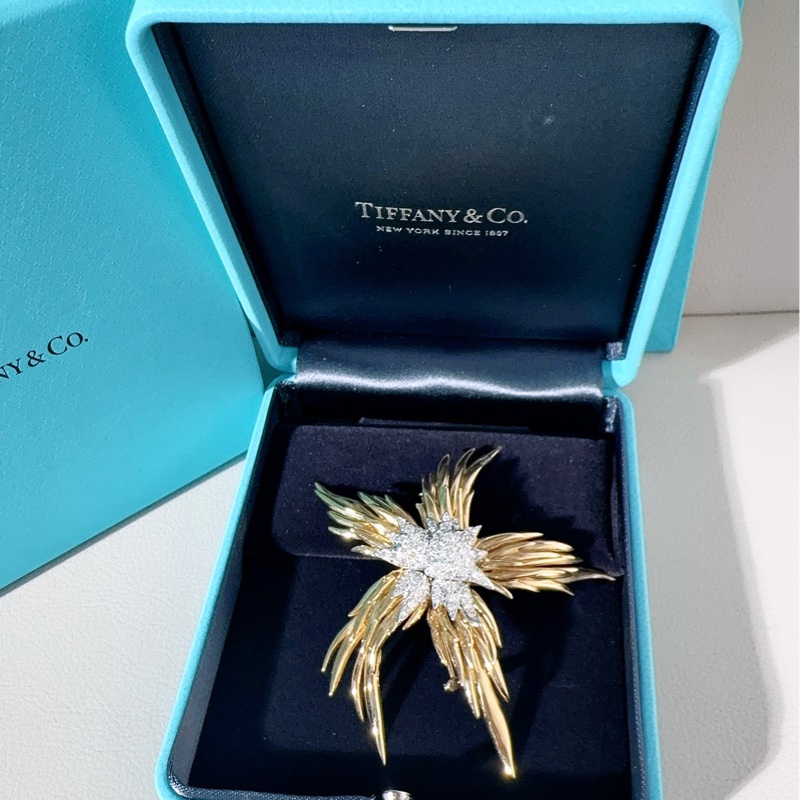 Tiffany蒂芙尼 高级珠宝史隆伯杰系列 黄金满钻火焰胸针-0